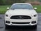 2015 Ford Mustang GT 50 Years Limited Edition