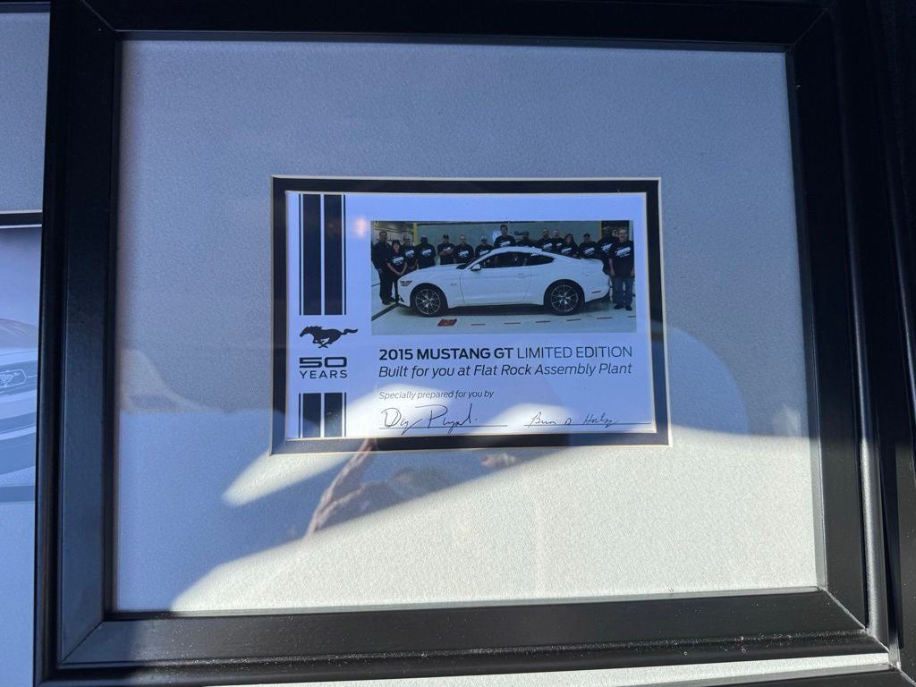 2015 Ford Mustang GT 50 Years Limited Edition