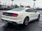 2015 Ford Mustang GT 50 Years Limited Edition