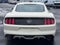 2015 Ford Mustang GT 50 Years Limited Edition