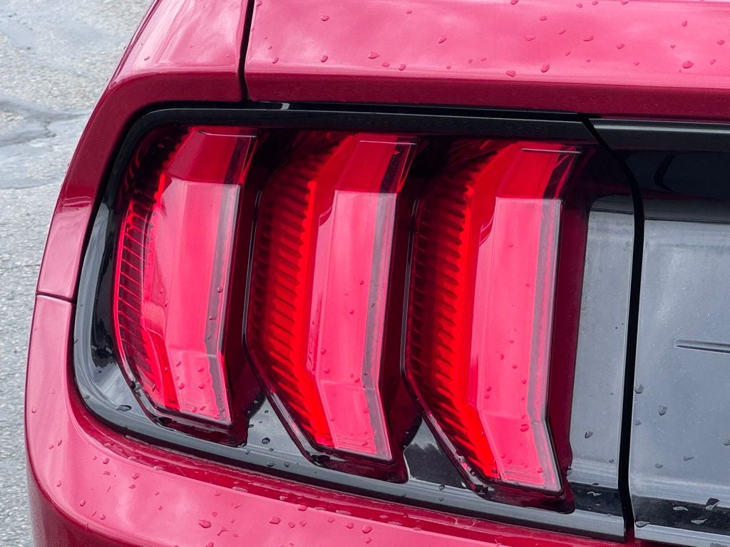 2021 Ford Mustang EcoBoost