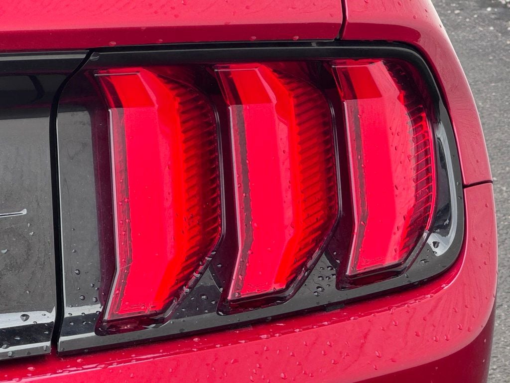 2021 Ford Mustang EcoBoost