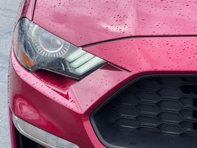 2021 Ford Mustang EcoBoost