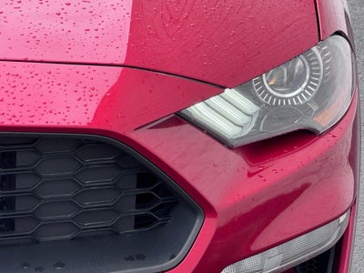 2021 Ford Mustang EcoBoost