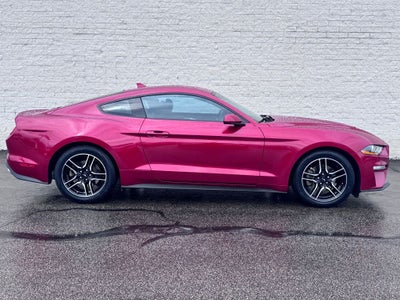 2021 Ford Mustang EcoBoost