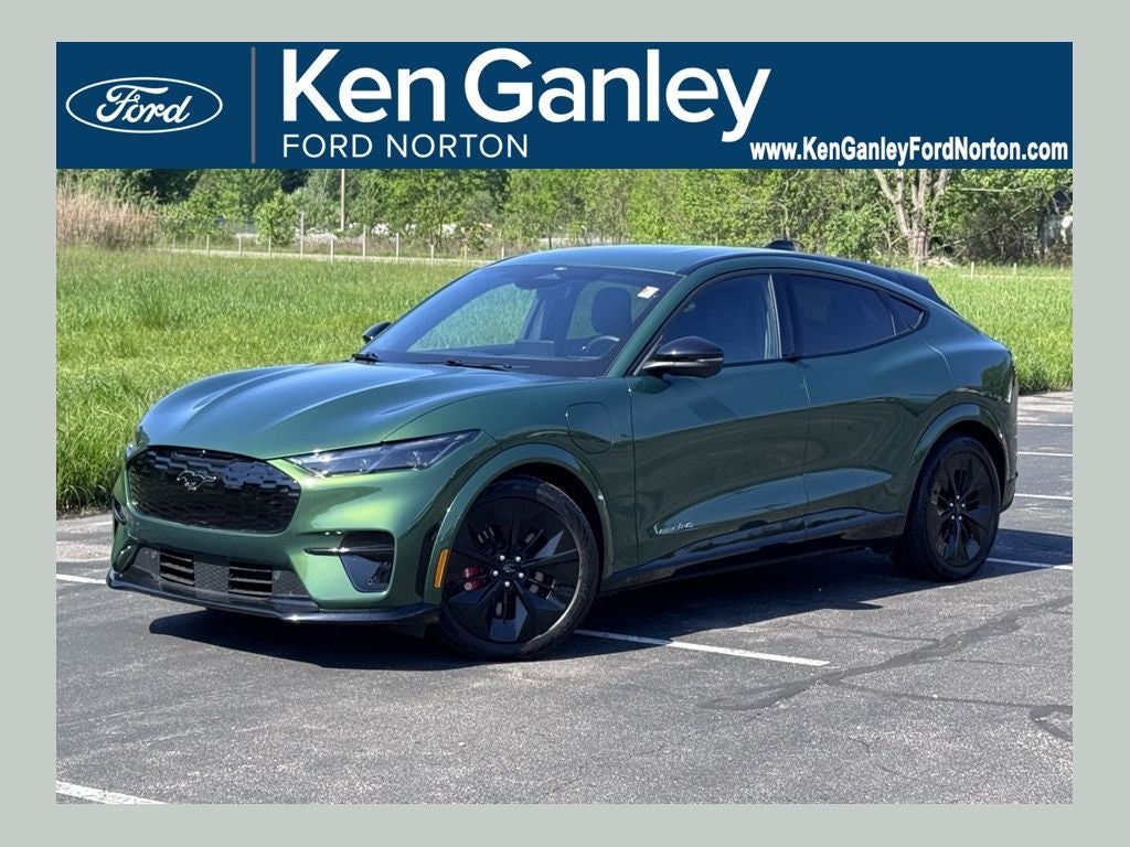 2025 Ford Mustang-Mach-e GT's photo